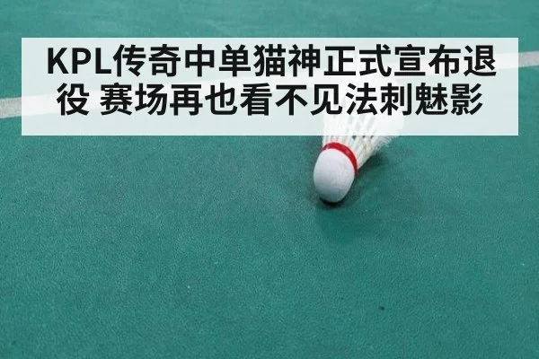 KPL传奇中单猫神正式宣布退役 赛场再也看不见法刺魅影