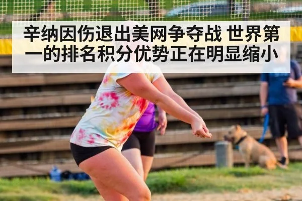 辛纳因伤退出美网争夺战 世界第一的排名积分优势正在明显缩小