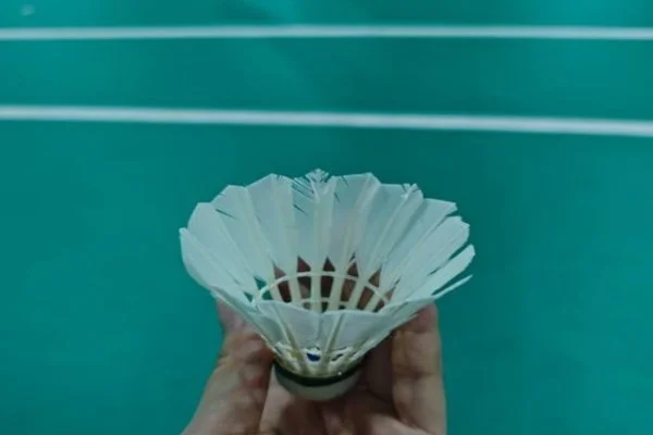 国际象棋世界冠军赛古克什对卡鲁阿纳冠军争夺与胜负走向分析